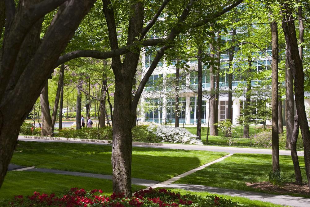 Falls Church Marriott Fairview Park Zewnętrze zdjęcie