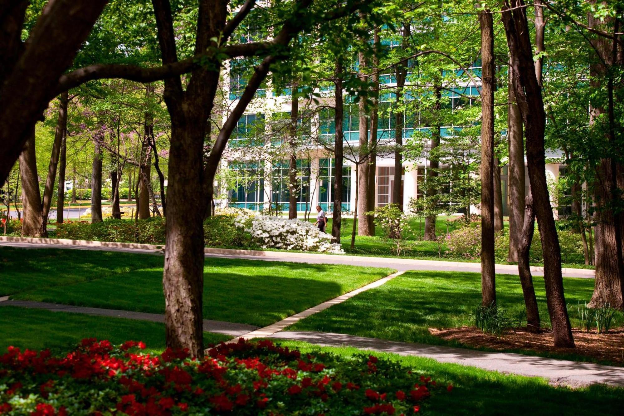 Falls Church Marriott Fairview Park Zewnętrze zdjęcie
